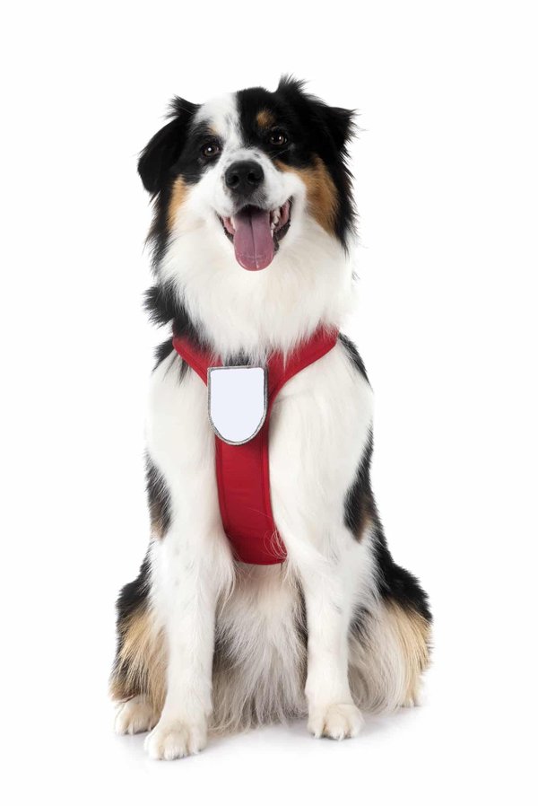 How to Properly Size and Install Wheel Arch Flares for Off-Road Tires?