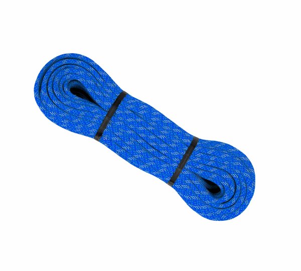 How Does The Adoption of Sustainable Diets Impact Environmental Health and Personal Nutritional Well-being?